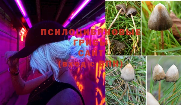 трава Абдулино