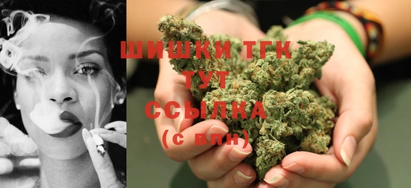 крисы Абаза