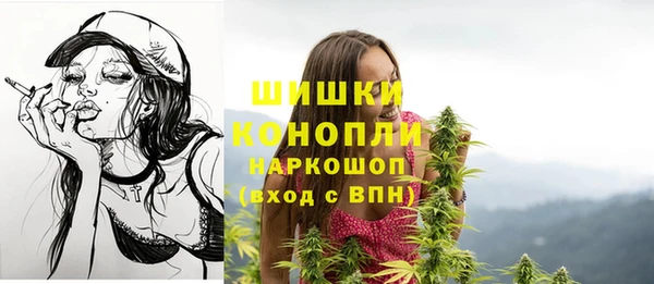 крисы Абаза