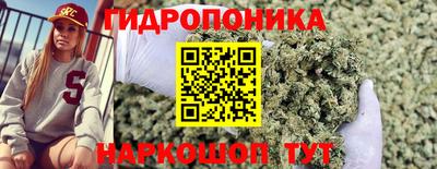 mdpv Канаш