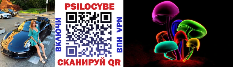 Псилоцибиновые грибы Psilocybe  купить закладку  сайты даркнета клад  Магнитогорск  hydra зеркало 