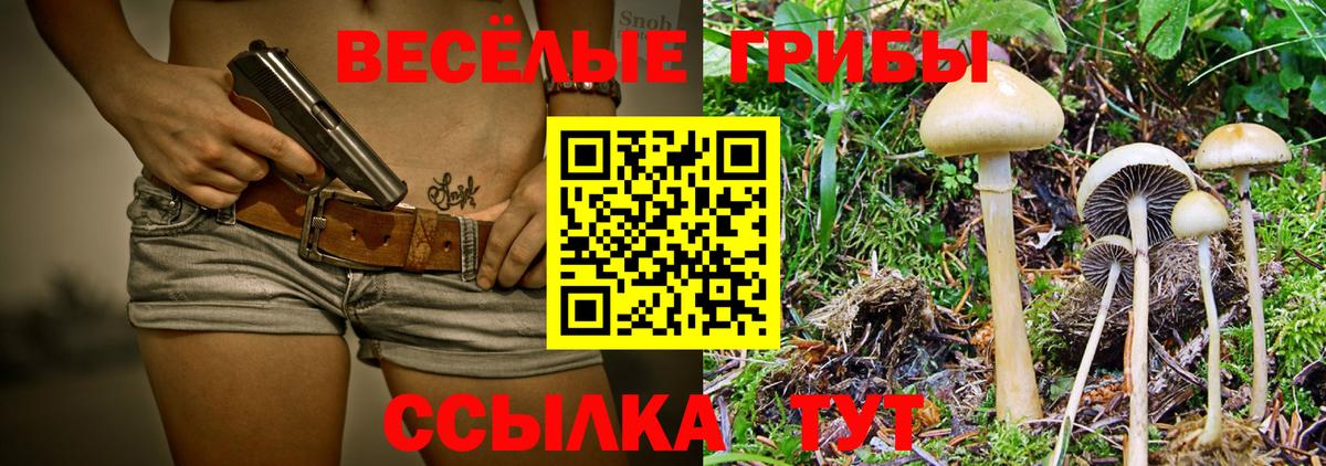 Псилоцибиновые грибы Psilocybe  Галлюциногенные грибы Cubensis  Магнитогорск  Вход с VPN 