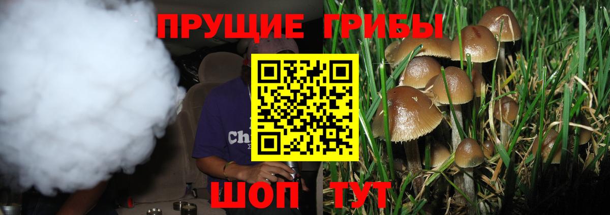 Псилоцибиновые грибы мицелий Магнитогорск